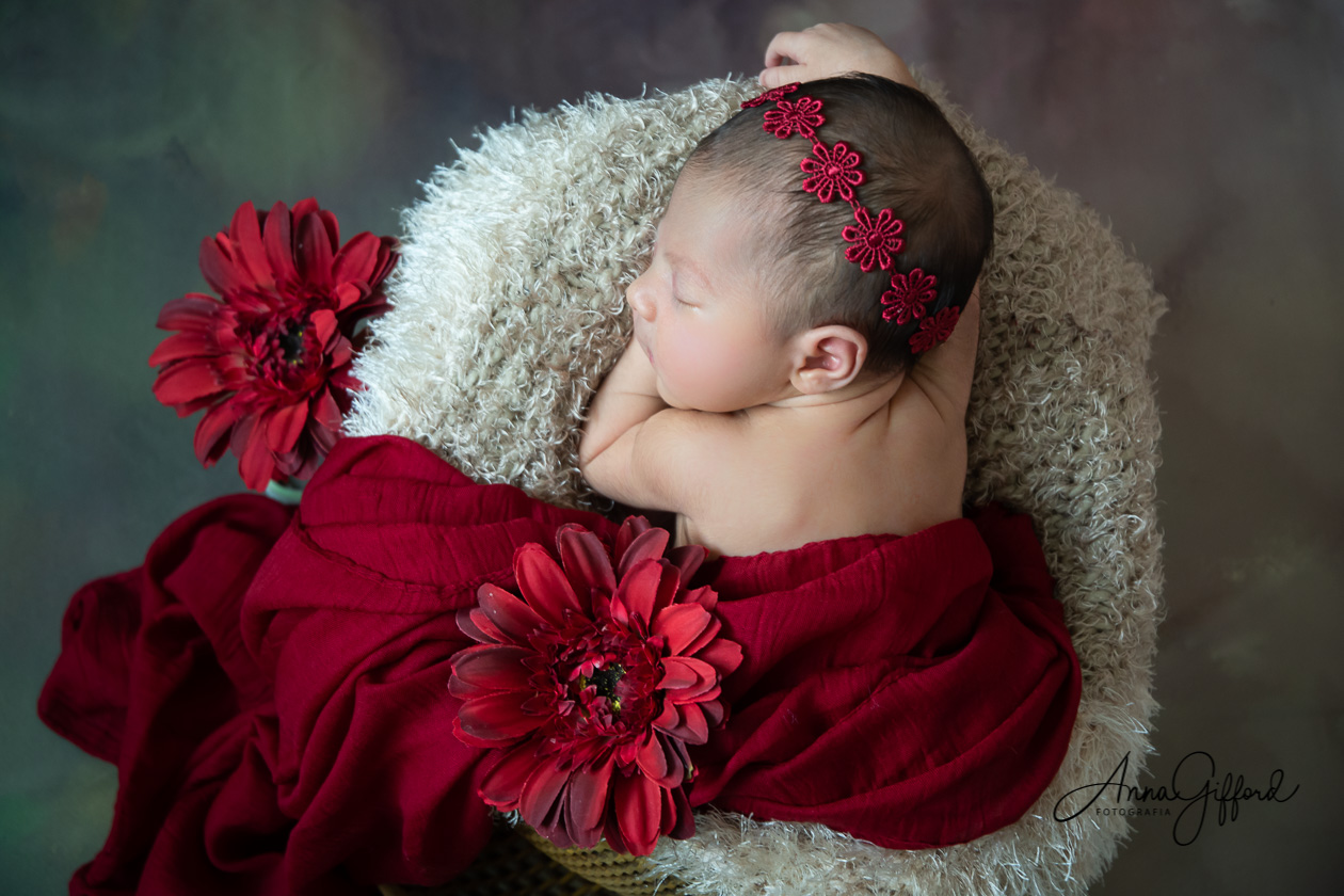 Ensaio newborn bh